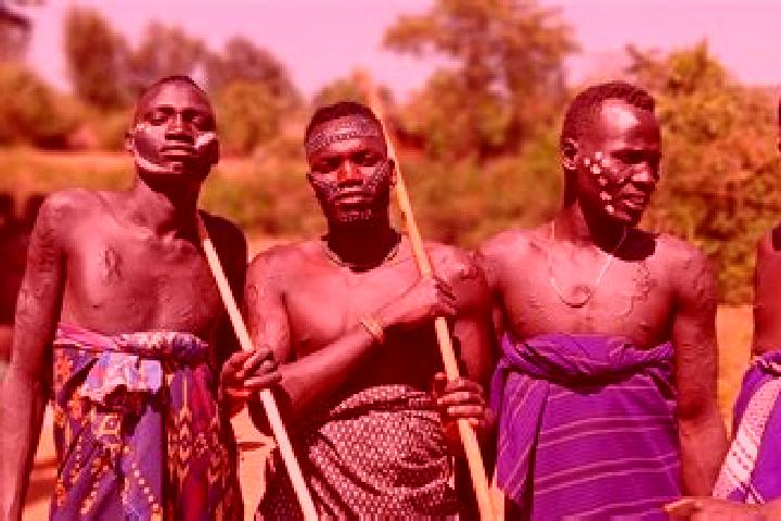 Escorts Bambesi, Ethiopia — Local Companions