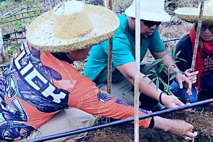Escorts Ban Ang Sila, Thailand — Local Companions