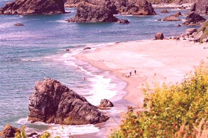 Escorts Bandon, United States — Local Companions