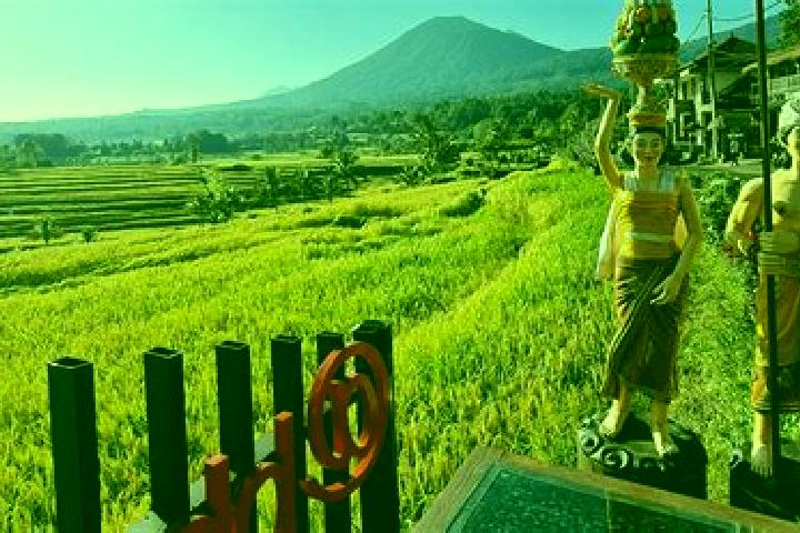 Escorts Banjar Sambangan, Indonesia — Local Companions