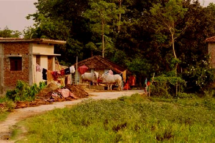Escorts Bansdih, India — Local Companions