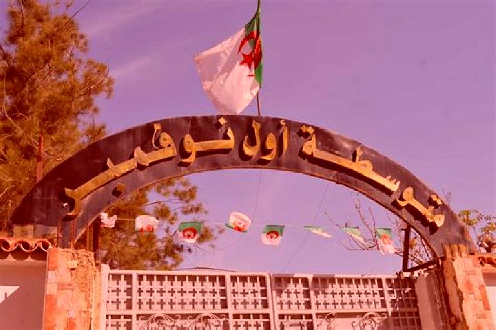 Escorts Barika, Algeria — Local Companions