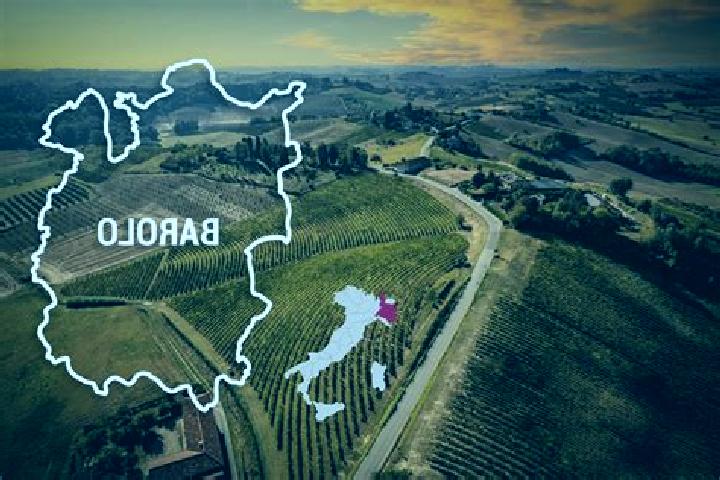 Escorts Barolo, Italy — Local Companions