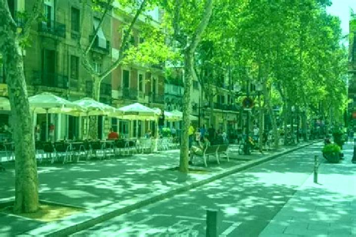 Escorts Barri de Sant Andreu, Spain — Local Companions