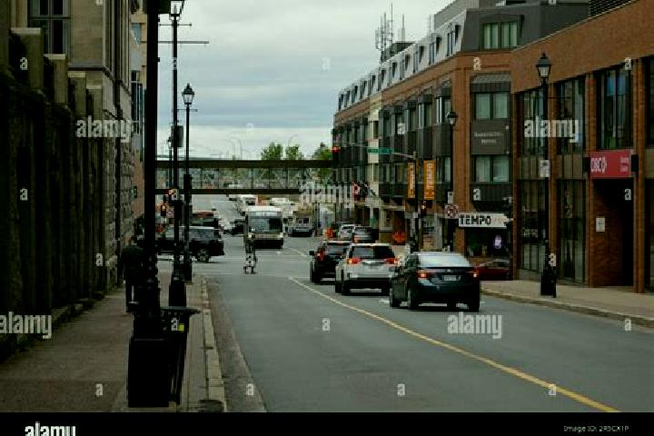 Escorts Barrington, Canada — Local Companions