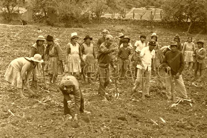 Escorts Barrio Iturbide (La Campesina), Mexico — Local Companions