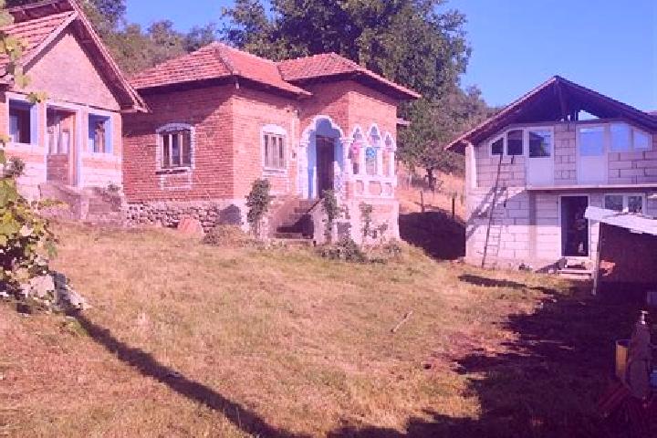 Escorts Barsestii de Sus, Romania — Local Companions