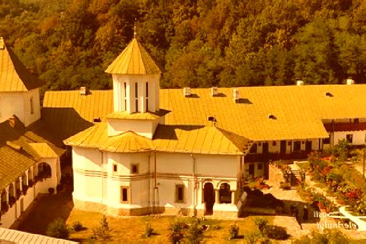 Escorts Barsoiu, Romania — Local Companions