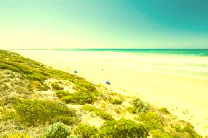 Escorts Barwon Heads, Australia — Local Companions