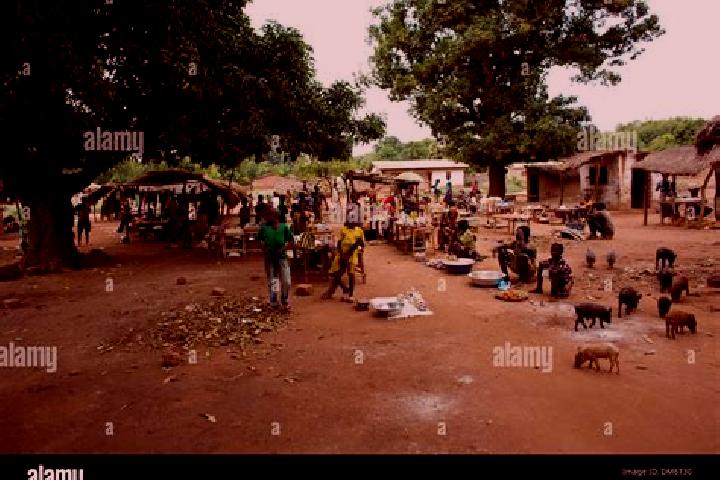 Escorts Batangafo, Central African Republic — Local Companions