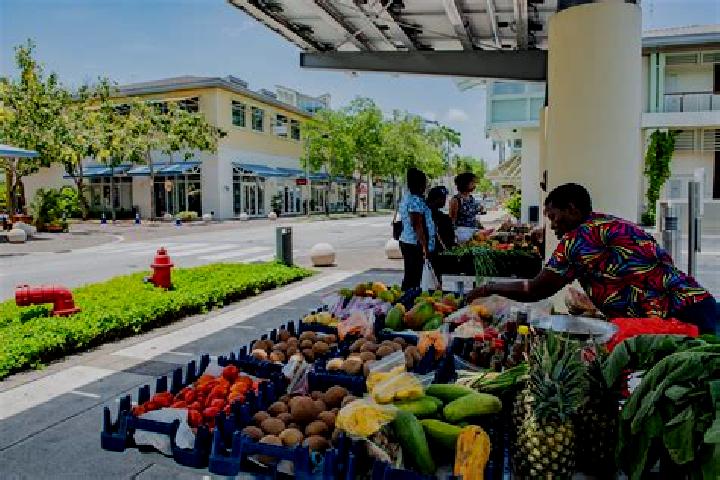 Escorts Battle Ground, Cayman Islands — Local Companions