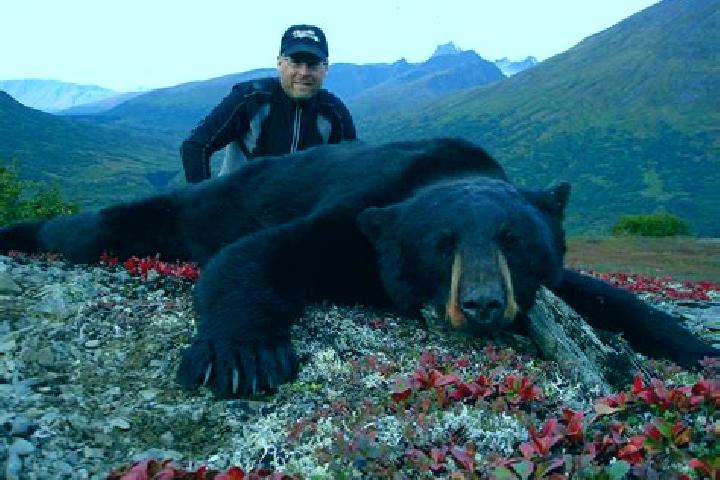 Escorts Bear Rocks, United States — Local Companions