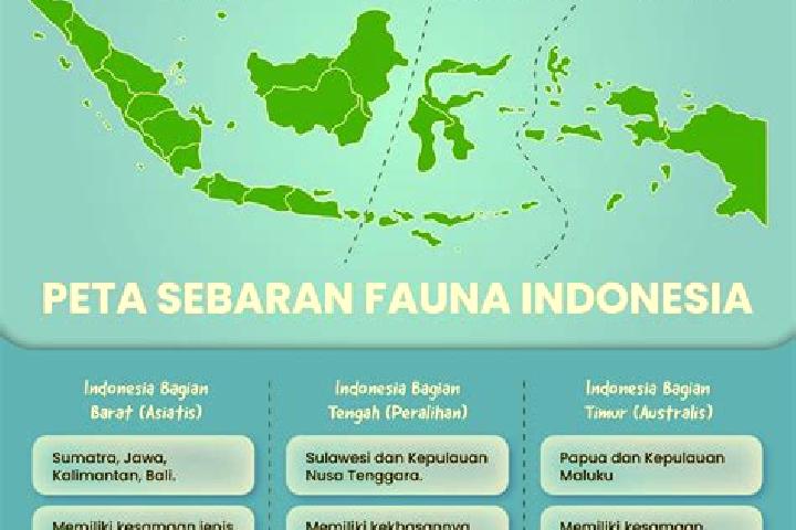 Escorts Beaung Tengah, Indonesia — Local Companions