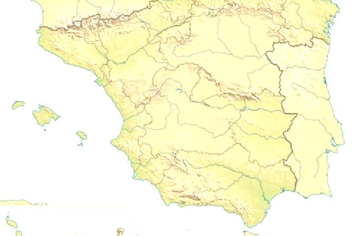 Escorts Bedar, Spain — Local Companions