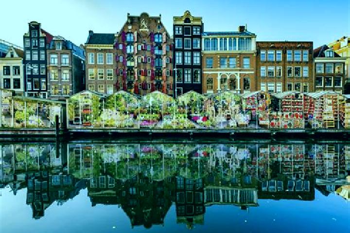 Escorts Belcrum, Netherlands — Local Companions