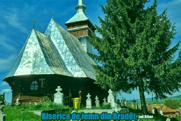 Escorts Belfir, Romania — Local Companions