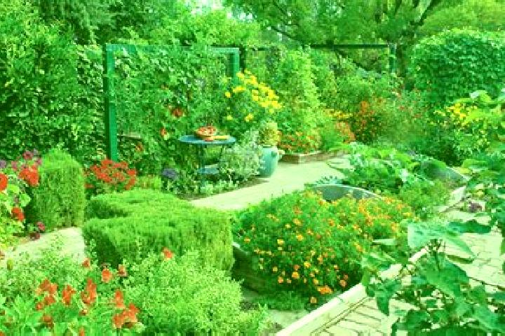 Escorts Belgian Gardens, Australia — Local Companions