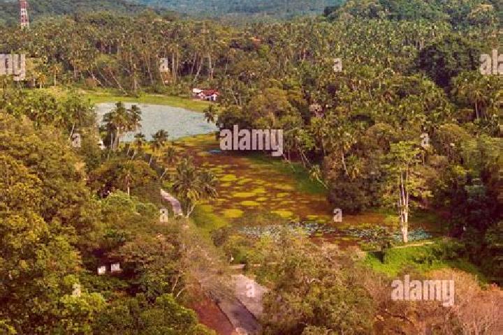 Escorts Beliatta, Sri Lanka — Local Companions