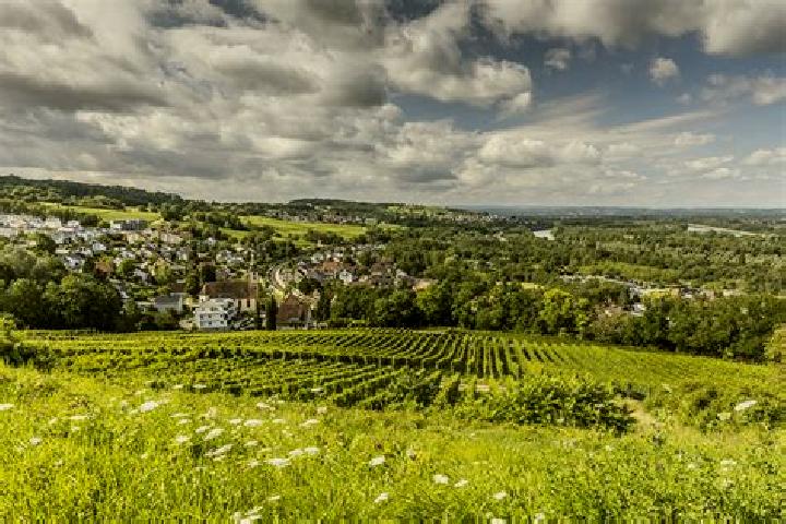 Escorts Bellingen, Germany — Local Companions