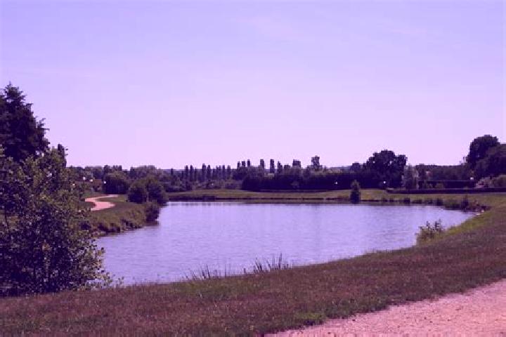 Escorts Bercheres-sur-Vesgre, France — Local Companions