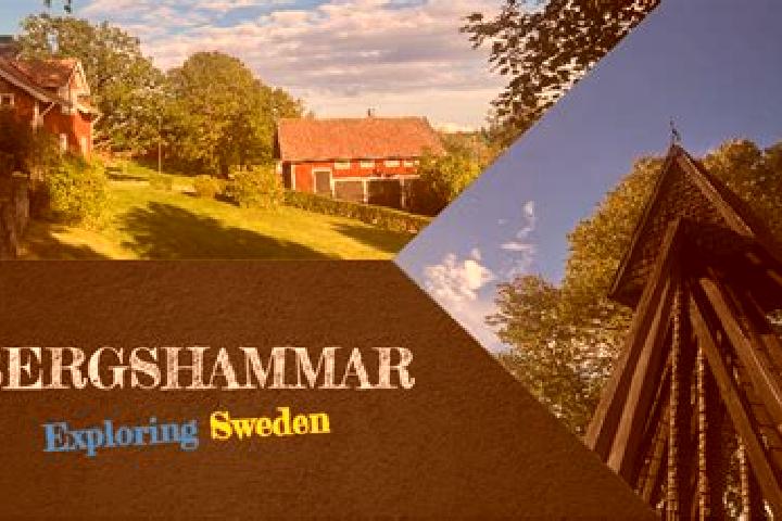 Escorts Bergshammar, Sweden — Local Companions