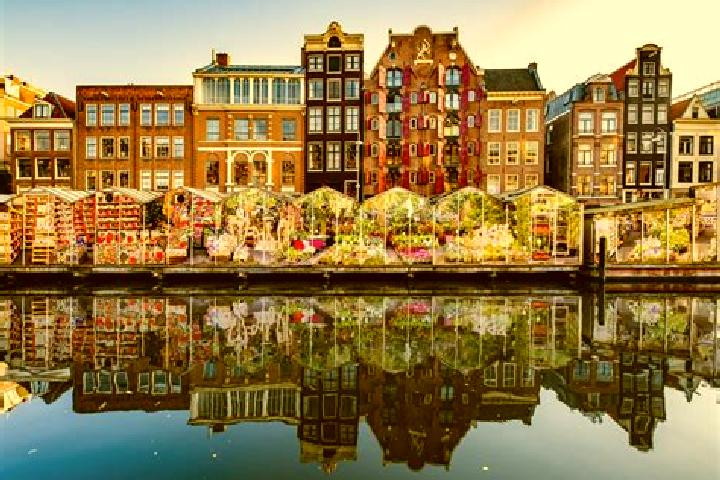 Escorts Berlicum, Netherlands — Local Companions