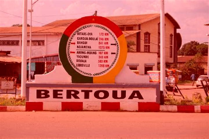 Escorts Bertoua, Cameroon — Local Companions