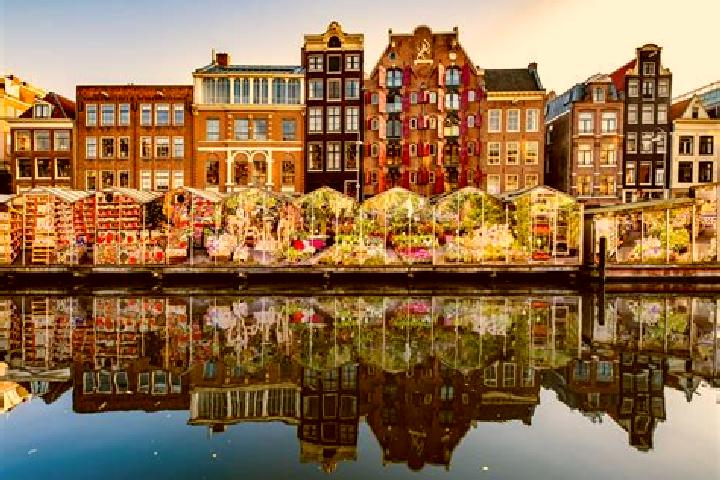 Escorts Beuningen, Netherlands — Local Companions
