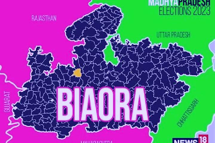 Escorts Biaora, India — Local Companions
