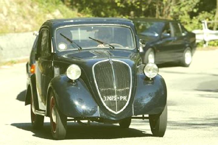 Escorts Bibbiano, Italy — Local Companions