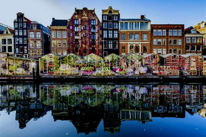 Escorts Biesdonk, Netherlands — Local Companions