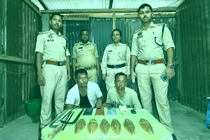 Escorts Bihpuria, India — Local Companions