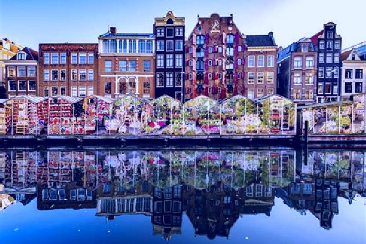 Escorts Bilgaard, Netherlands — Local Companions