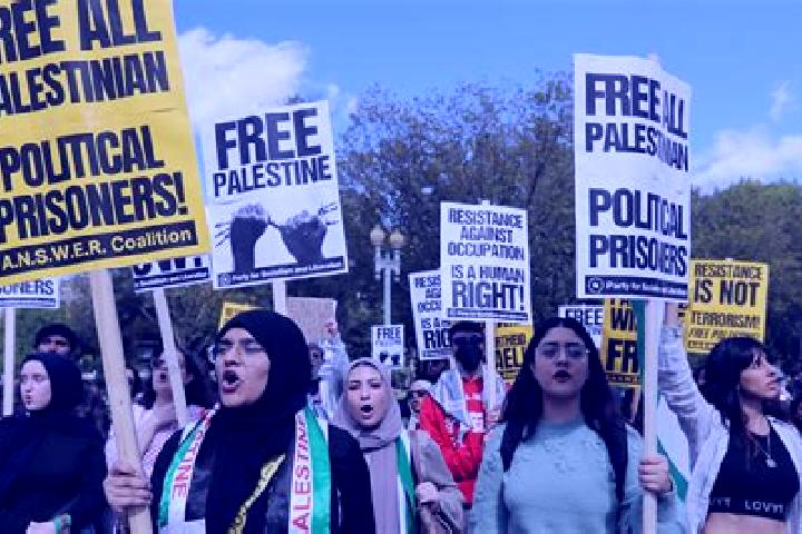 Escorts Bil in, Palestine — Local Companions