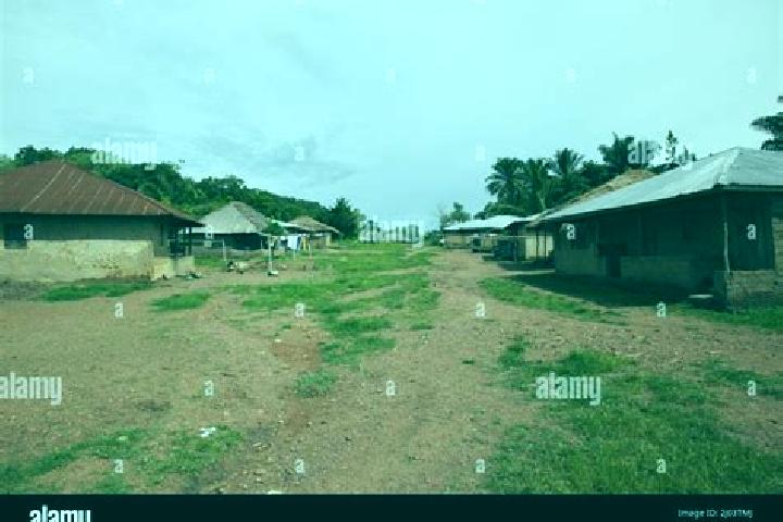 Escorts Binkolo, Sierra Leone — Local Companions