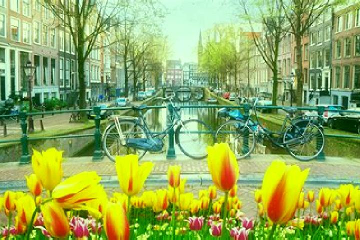 Escorts Binnenstad, Netherlands — Local Companions