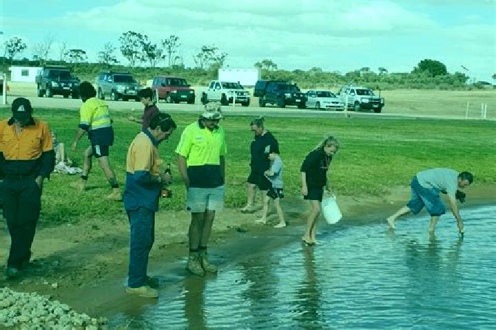 Escorts Birdwoodton, Australia — Local Companions