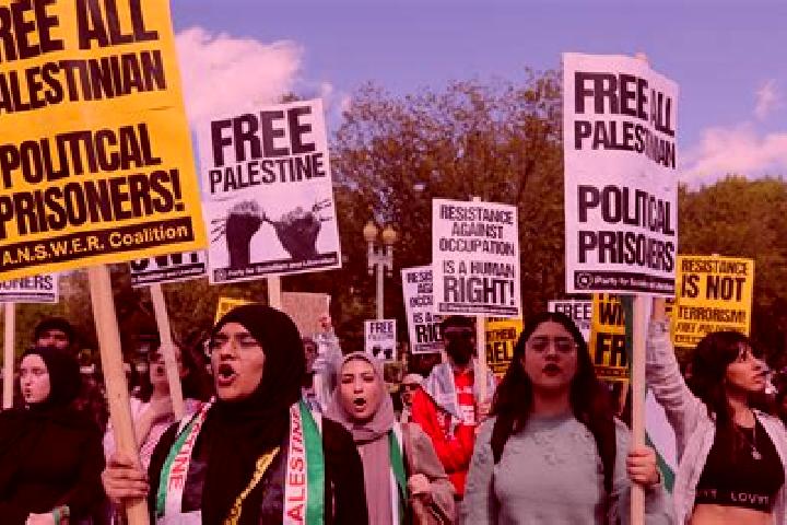 Escorts Birqin, Palestine — Local Companions