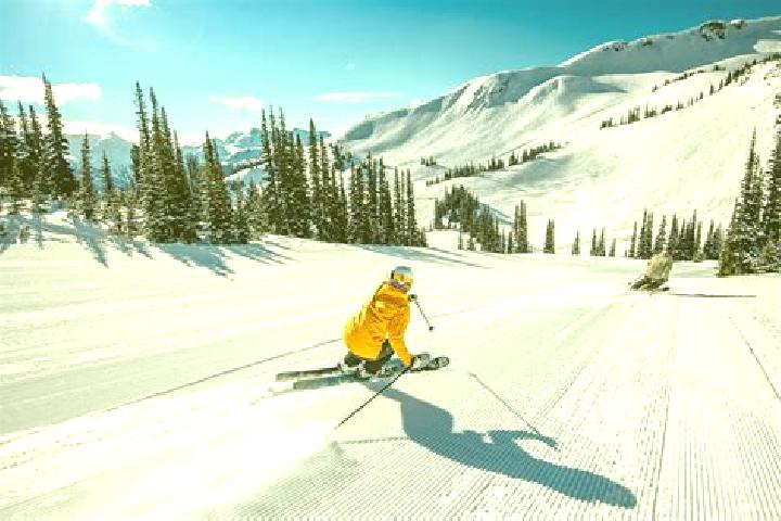 Escorts Black Diamond, Canada — Local Companions