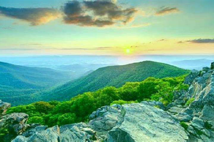 Escorts Black Mountain, United States — Local Companions