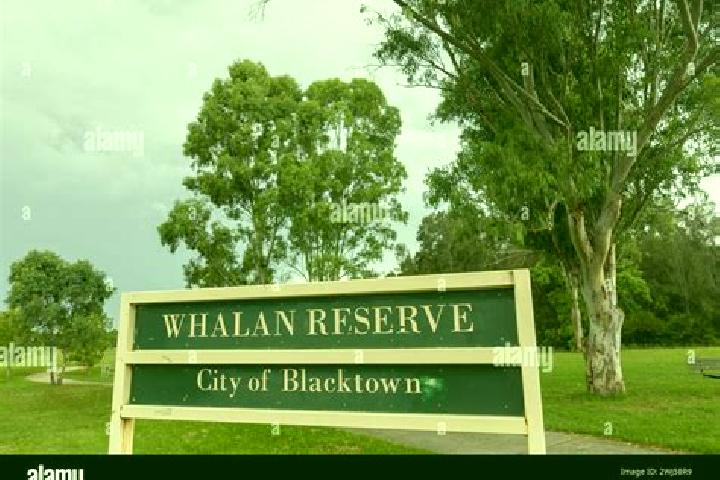 Escorts Blacktown, Australia — Local Companions