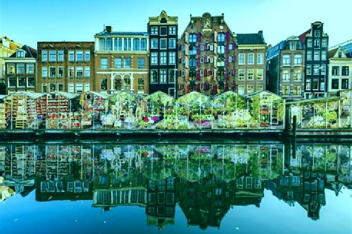 Escorts Blaricum, Netherlands — Local Companions