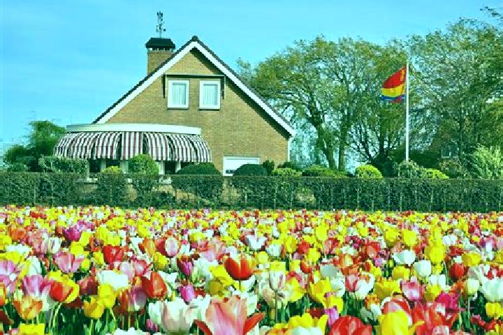 Escorts Blerick, Netherlands — Local Companions
