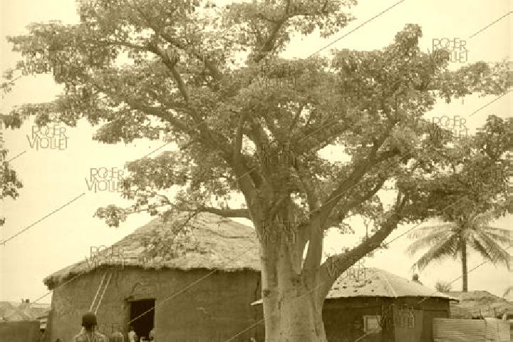 Escorts Blitta, Togo — Local Companions