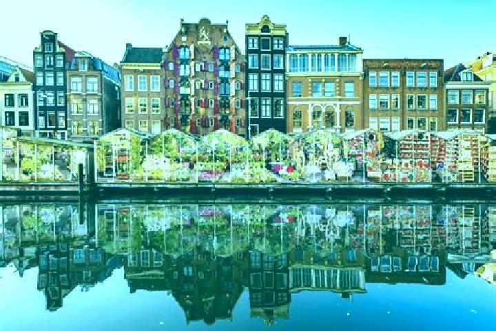 Escorts Bloemhof, Netherlands — Local Companions