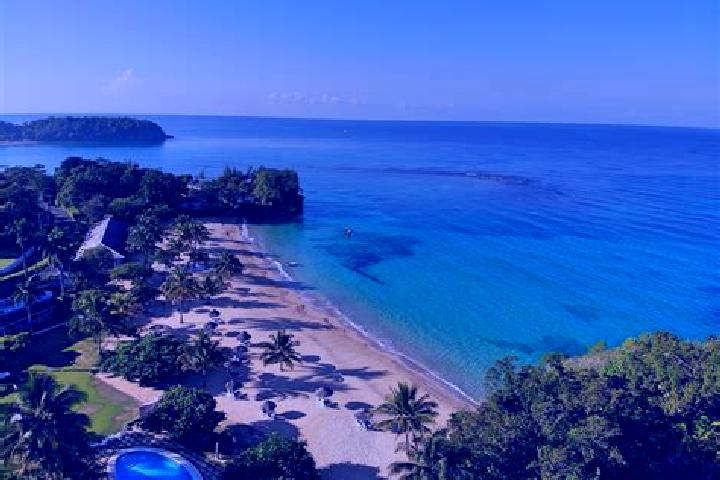 Escorts Bluefields, Jamaica — Local Companions