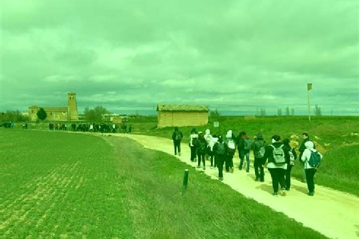 Escorts Boada de Campos, Spain — Local Companions