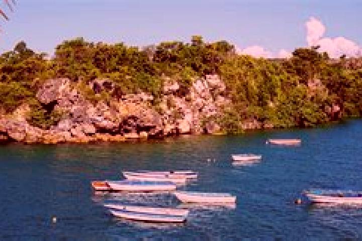 Escorts Boca de Yuma, Dominican Republic — Local Companions