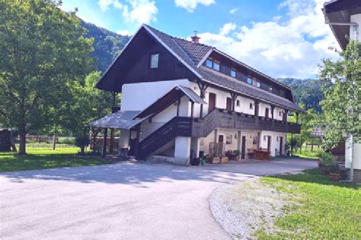 Escorts Bohinjska Bela, Slovenia — Local Companions