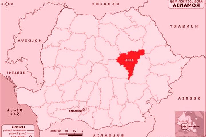 Escorts Bolintin Vale, Romania — Local Companions
